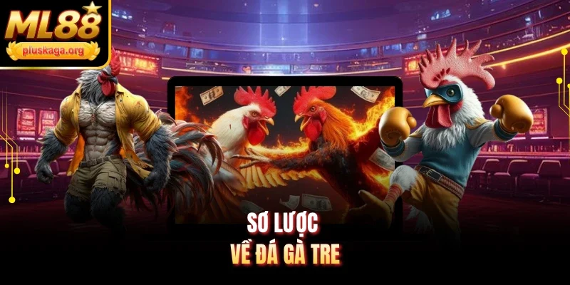 Sơ lược về đá gà tre