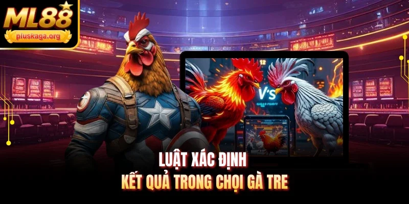 Luật xác định kết quả trong chọi gà tre